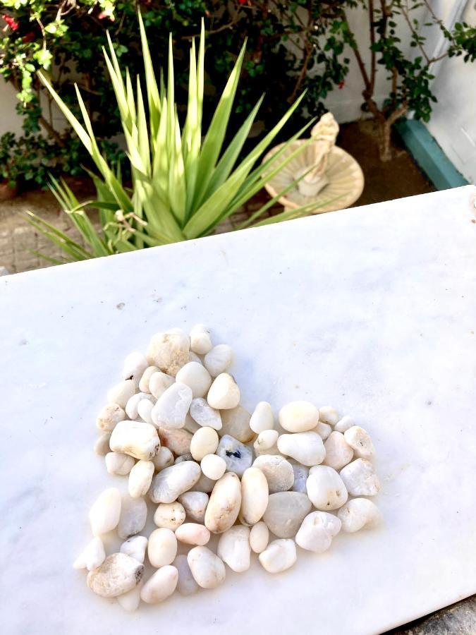 Tree Of Life Art Hotel Agia Marina Exterior foto