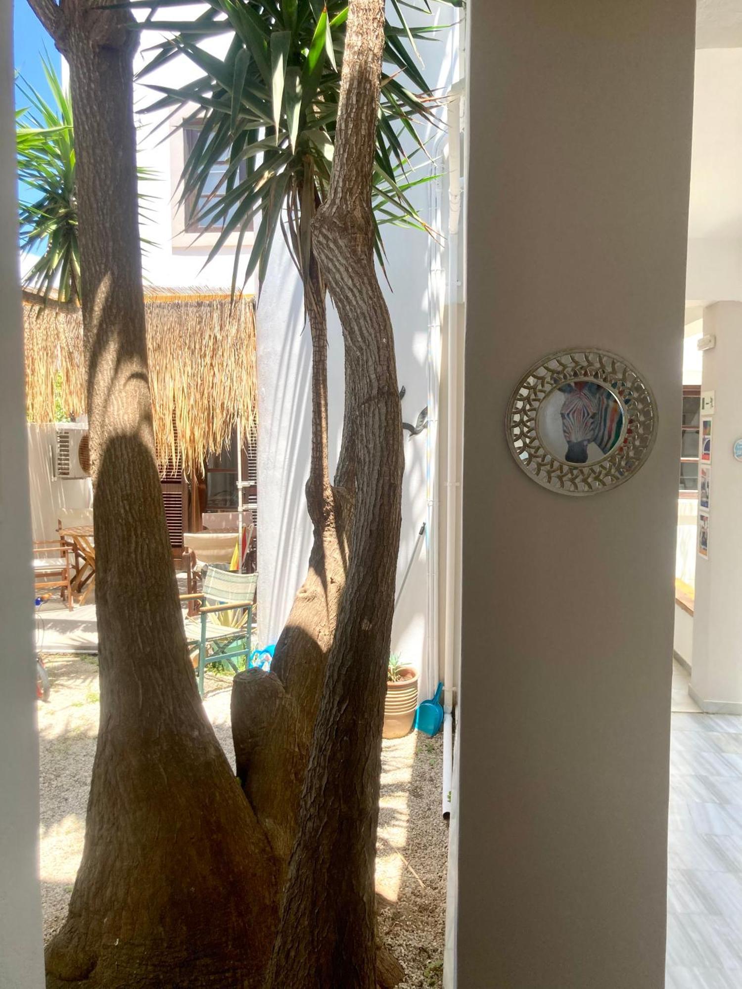 Tree Of Life Art Hotel Agia Marina Exterior foto